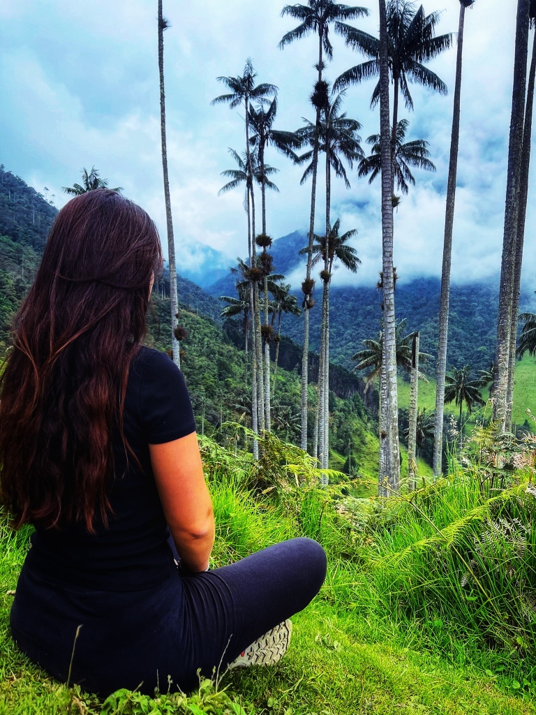 Image qui représente l'auteur du blog. Elle est brune avec de longs cheveux. Assise par terre en tailleur, elle regarde vers une vallée verdoyante avec des montagnes et de très grands palmiers.